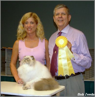 Jetsets Tennessee Walker ofPurrpal